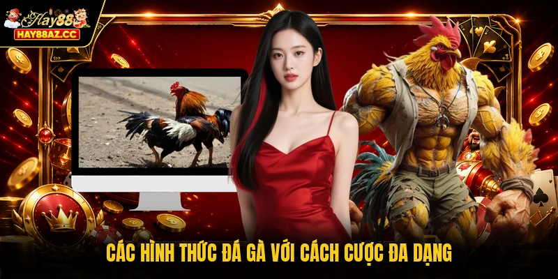 Các hình thức đá gà với cách cược đa dạng
