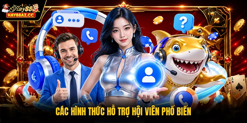 Các hình thức hỗ trợ hội viên phổ biến