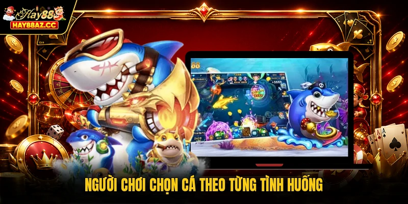 Người chơi chọn cá theo từng tình huống